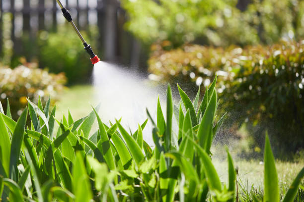 Tamper-Resistant Bait Stations for Rodents in Highland Springs