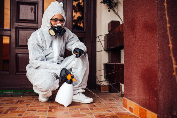 Attic and Crawl Space Rodent Treatment in Highland Springs